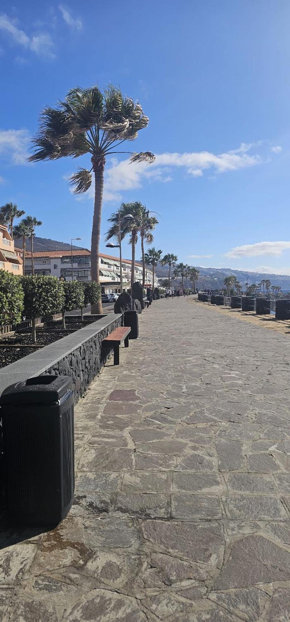 Princesa Arminda Candelaria Exterior photo